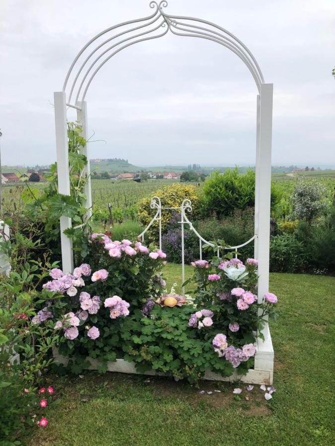 Gite C'est Beau la Vie Alsace Riquewihr Extérieur photo
