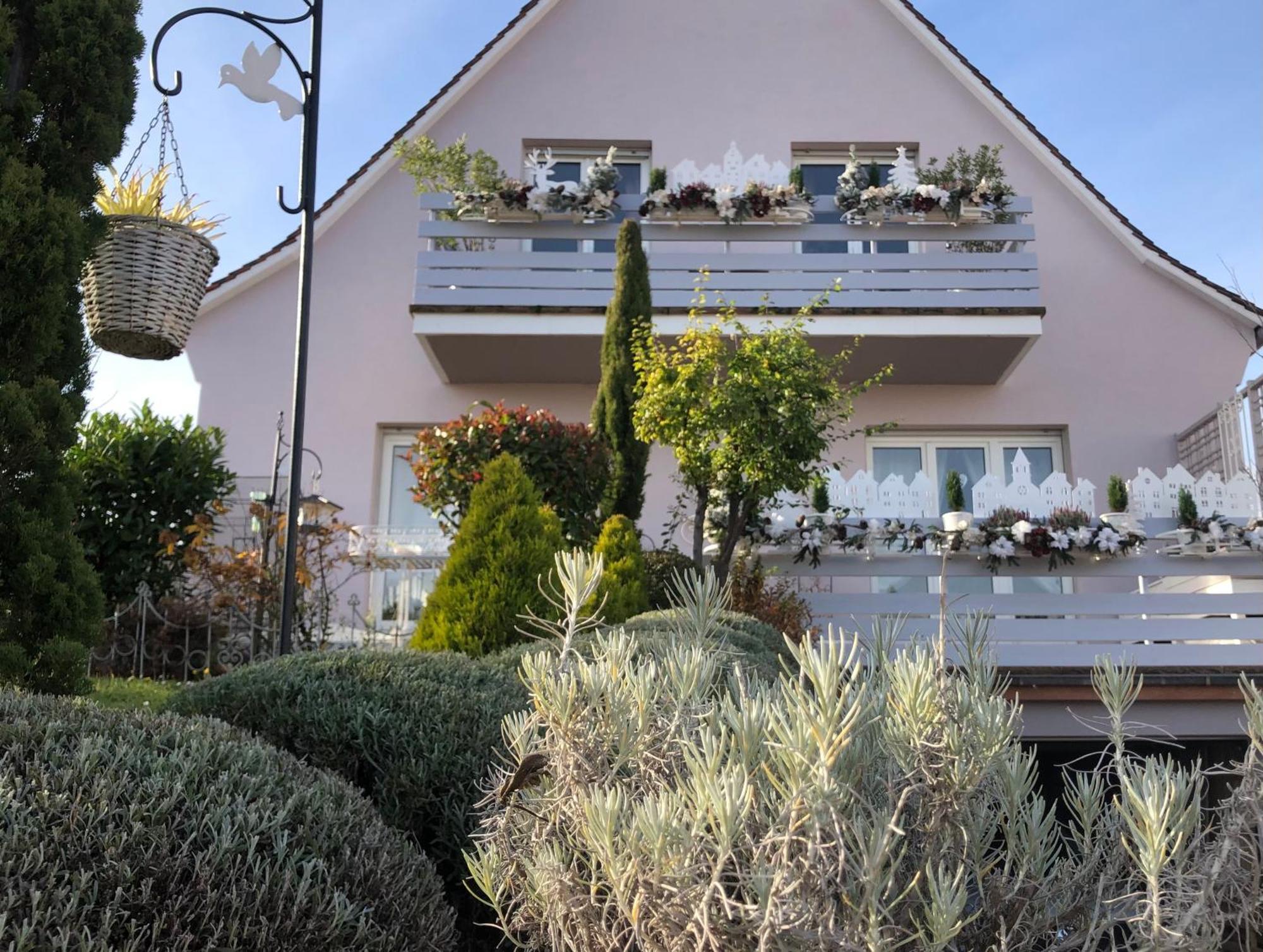 Gite C'est Beau la Vie Alsace Riquewihr Extérieur photo